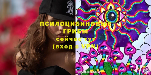 мяу мяу мука Медногорск