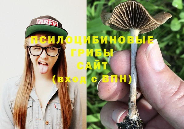 MDMA Медвежьегорск