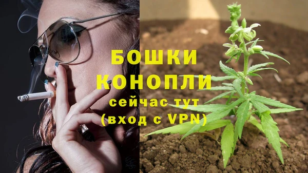 амф Лихославль