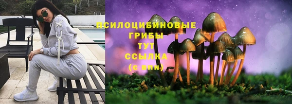 MDMA Медвежьегорск