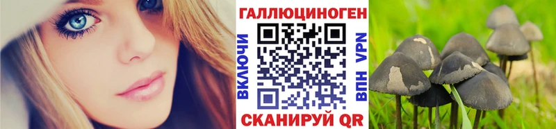 мега сайт Балашиха Галлюциногенные грибы Psilocybine cubensis
